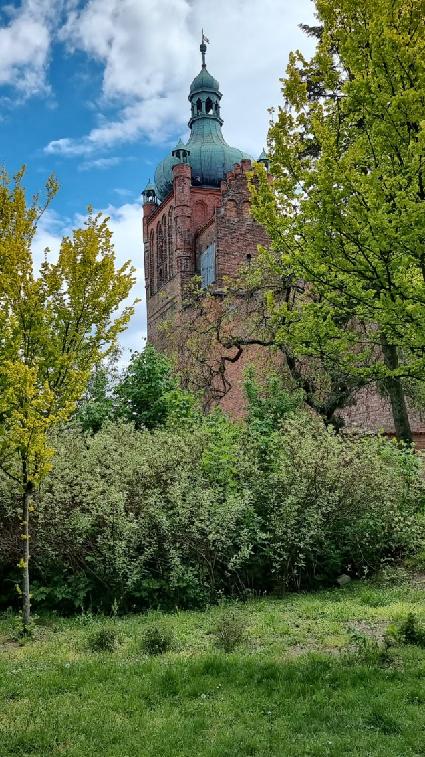 Płock3